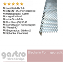 Winkrlprofil | Lochblech | Rv 5-8 Stahl verzinkt |1,5mm | Lochgitter